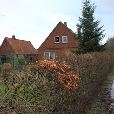 „Ich glaube ich sollte mal 10 Tage ins Kloster gehen“