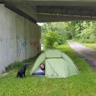 31,6 Kilometer und ich träume nur von Schuhen